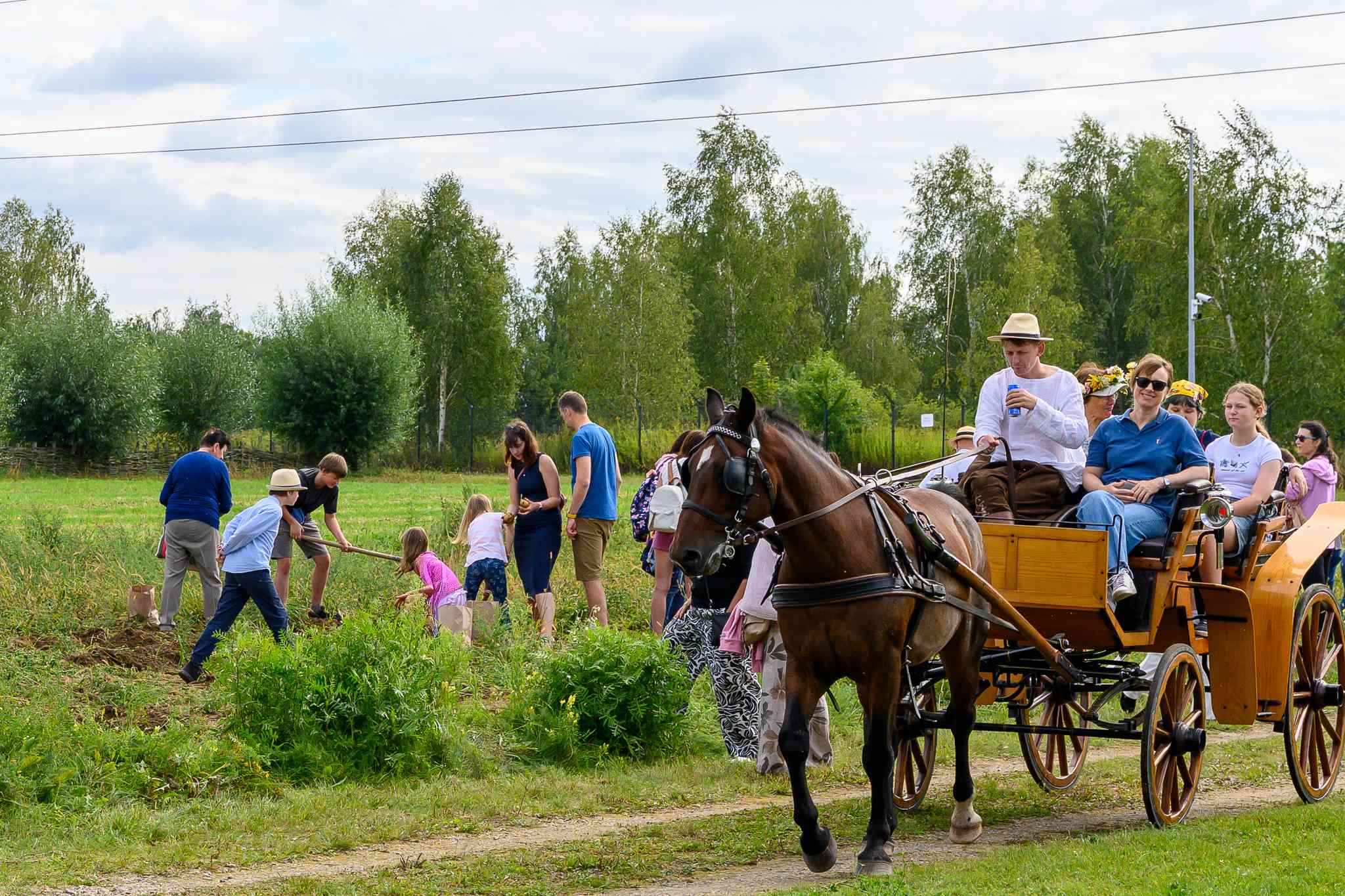Bryczka przed parkiem
